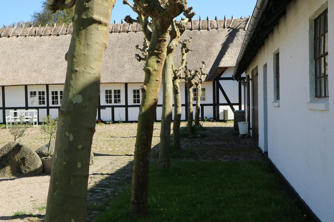 Birkelygaard Bed & Breakfast Hårby Kültér fotó